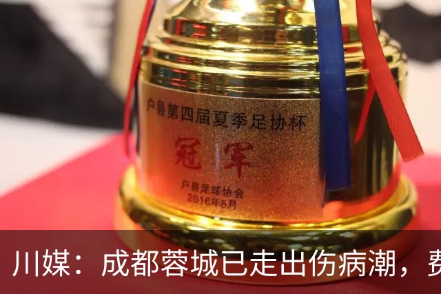 川媒：成都蓉城已走出伤病潮，费利佩完全康复、罗慕洛恢复顺利