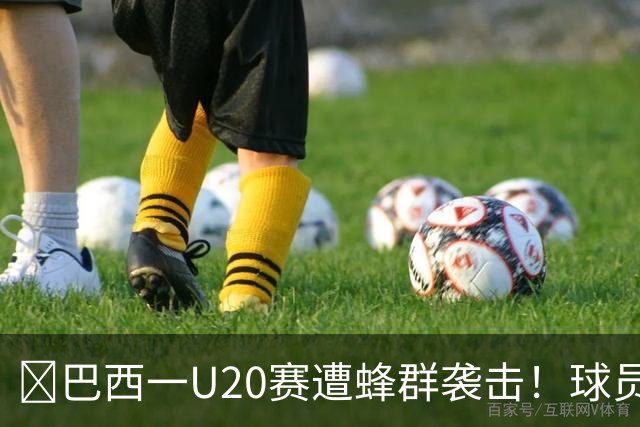 🐝巴西一U20赛遭蜂群袭击！球员裁判集体趴下！如何科学躲避？