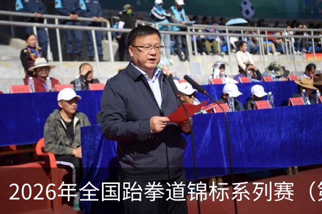 2026年全国跆拳道锦标系列赛（第二站）在广州举行